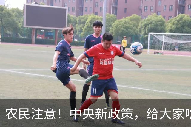 农民注意！中央新政策，给大家吃下定心丸