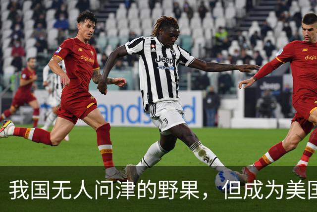 我国无人问津的野果，但成为美国人的心头宝，60元1斤供不应求？